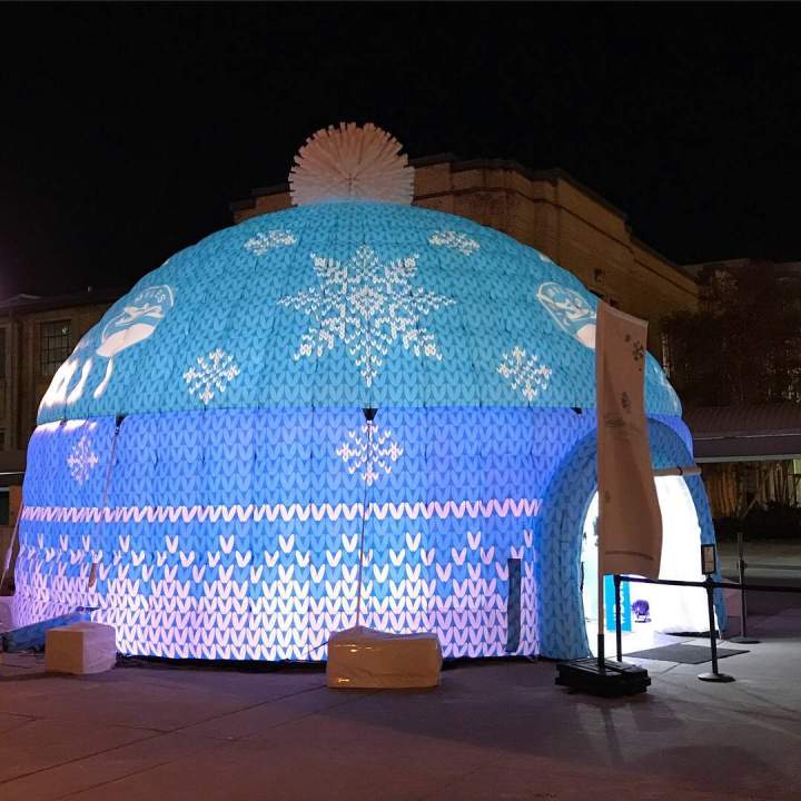 BLUE SNOWLAKES IGLOO 30 d36c